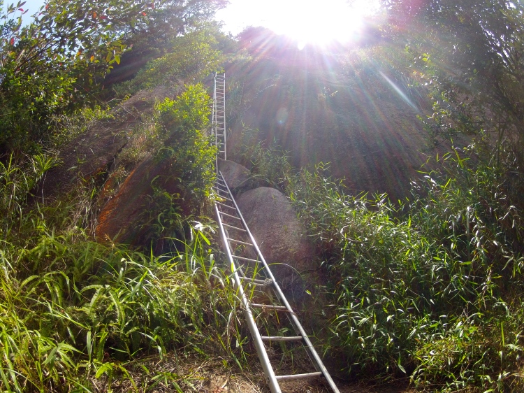 The abundance of ladders of gunung Ledang make the mountain stand out from others